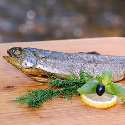 Forellenteichanlage Finkenbachtal Fischverkauf vor Ort