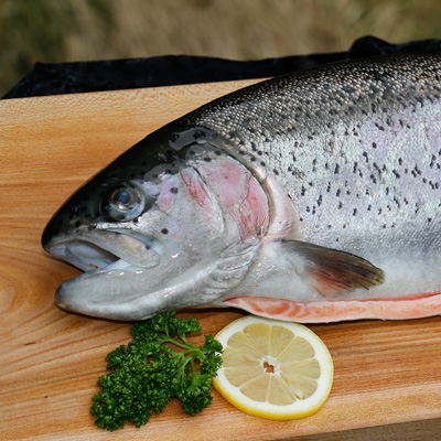 Forellenteichanlage Finkenbachtal Fische essen